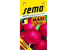 Ředkvička VINARA F1[1].jpg