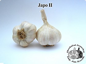 japoii[2].jpg