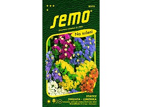 Statice směs SINUATA LIMONKA