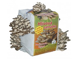 Substrát hlíva ústřičná  15 l