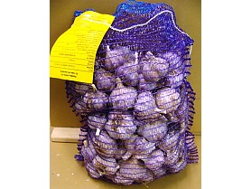 Sadbový česnek TOPAZ 5 kg - paličák