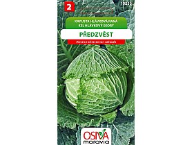Předzvěst