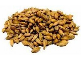 Ječmen
