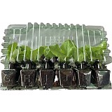 Sadba Polnička topolová - 500 ml