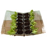 Salát PIA přísada 24ks v přepr.boxu AGRI 