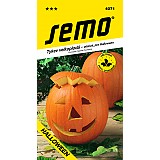 Tykev HALLOWEEN
