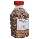 Sadba Korálovec ježatý cca 500 ml