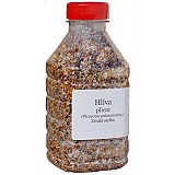 Sadba Hlíva plícní 500ml