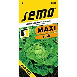 Salát hlávkový JUPITER MAXI letní