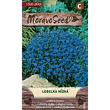 Lobelka nízká modrá