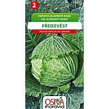 Kapusta  hlávková raná Předzvěst 